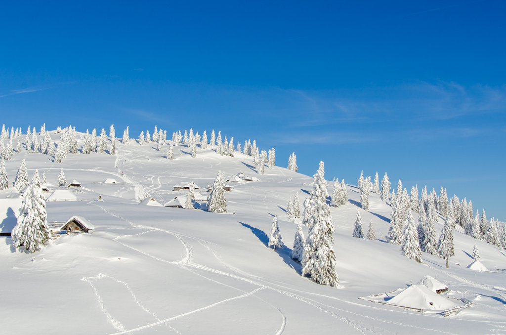 Velika Planina
